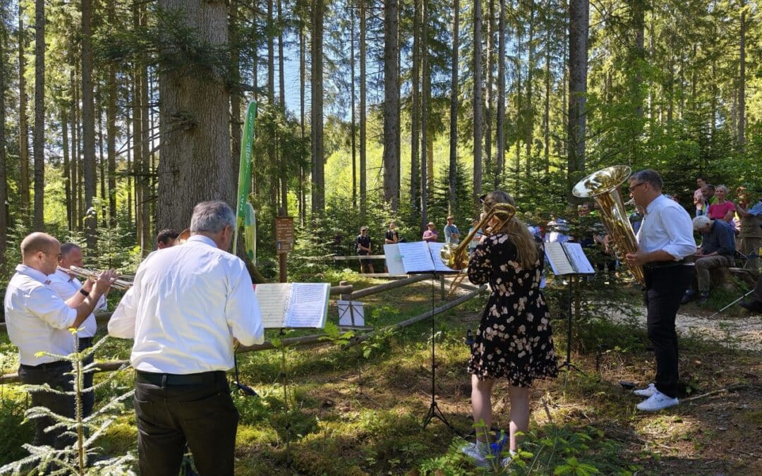 Fulminantes Ambiente zur Ausrufung der Danieltanne im Hochschwarzwald (Grafenhausen, Lkr. Waldshut, Baden-Württemberg)