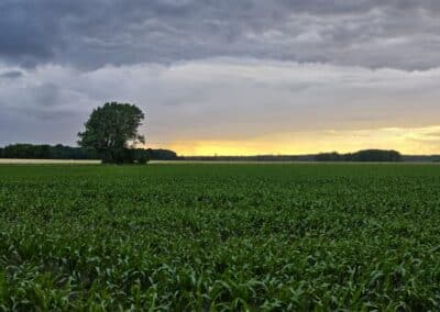 Ausrufung der Großen Eiche am Gutshof Lindstedt: Sonnenuntergang im Nordwesten mit Blick vom Eichenplatz bis zum Horizont