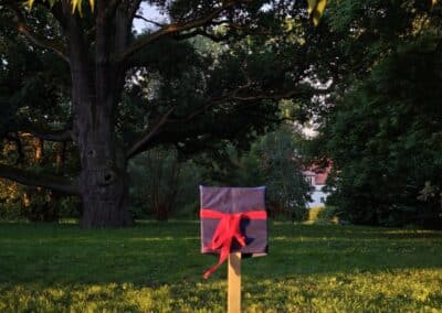 Ausrufung der Großen Eiche am Gutshof Lindstedt: die Tafel zum Sonnenaufgang installiert mit toller Illumination und nahem Kranichgesang