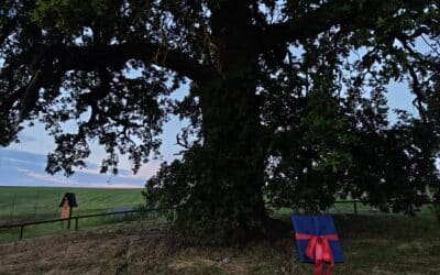 Sehr besondere Ausrufung der Dicken Eiche Endlichhofen (Rheinland-Pfalz, bei Bad Ems)