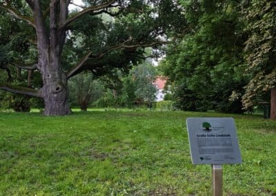 Ausrufung der Großen Eiche am Gutshof Lindstedt: Nun beginnt der neue Lebensabschnitt der Großen Eiche mit ihrer neuen Auszeichnung.