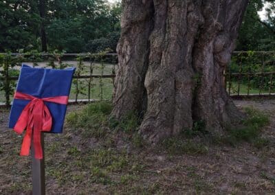 Ausrufung des starken Ginkgos in Bornheim: die Tafelinstallation nun zum 65. Mal perfekt geklappt: was für ein stolzes Gefühl…