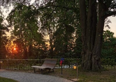 Ausrufung des starken Ginkgos in Bornheim: …und dann eine sagenhafte Stimmung mit der über dem Rheintal aufgehenden Sonne