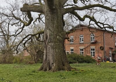 Hofeiche Klostersee: wunderbare Hofanlage mit sehr schönen regionaltypischen roten Backsteinhäusern