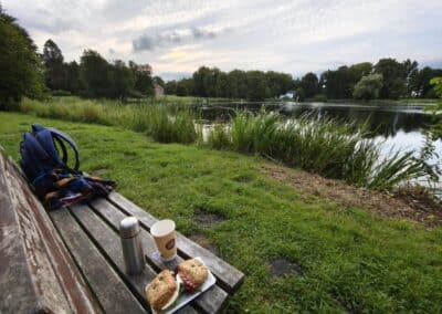 Ausrufung der Schlosspark-Eiche Fürstin Luise in Putbus: danach Genuss einer Brotzeit am Schwanenteich im Schosspark – sehr wohltuend
