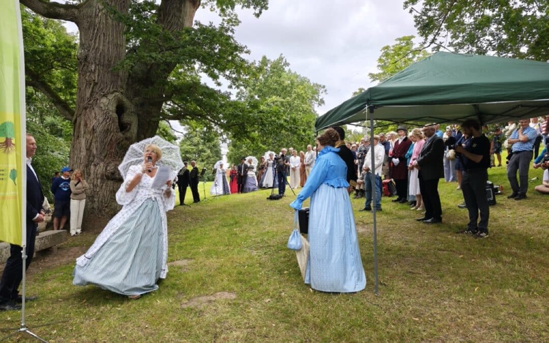 Was für eine bewegende Ausrufung der Schlosspark-Eiche Fürstin Luise in Putbus (Rügen, MV)