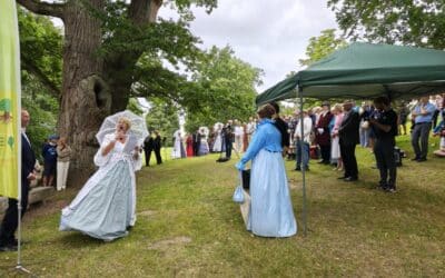 Was für eine bewegende Ausrufung der Schlosspark-Eiche Fürstin Luise in Putbus (Rügen, MV)