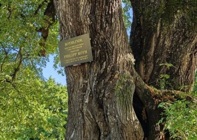 Röthlinde in München: Ehrentafel für den Maler Philipp Röth, der lange Zeit oft am liebsten unter diesem Baum malte