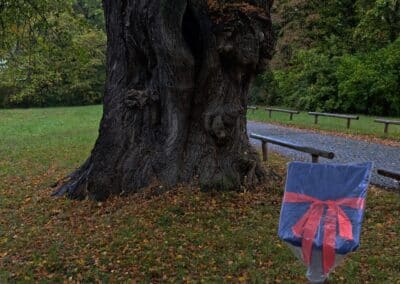 Ausrufung Röthlinde in München: Die Tafel steht pünktlich (regenfest) zum Sonnenaufgang, der fiel allerdings diesmal aus.