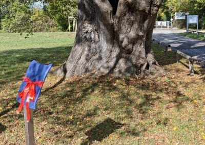 Ausrufung Röthlinde in München: …mitsamt der noch zu enthüllenden Baumtafel.