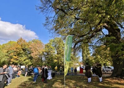 Ausrufung Röthlinde in München: was für ein wunderbares Ambiente unter und an der Linde zur Feier